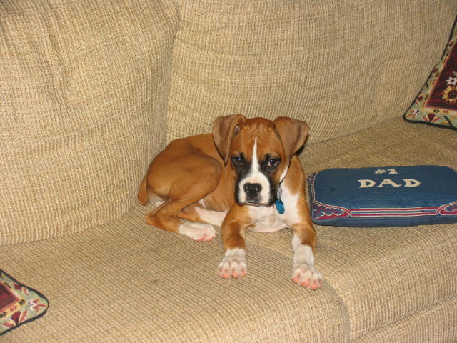 Cori