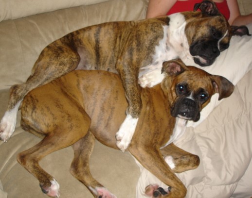 Couch.jpg