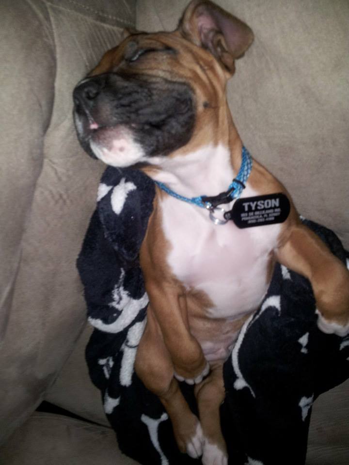 couch potato
