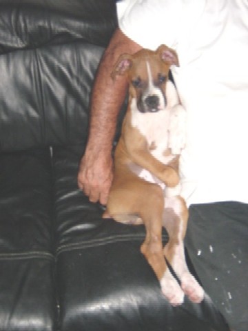 COUCH POTATOE..