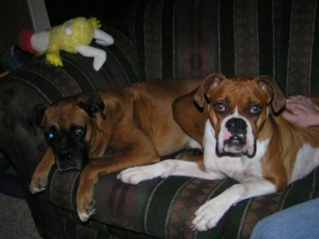 Couch Potatoes