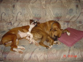 couch surfers