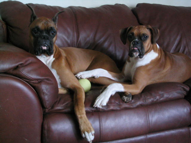 Couch Time
