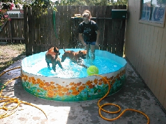Could not get them out of this pool
