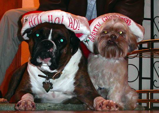 could they look any happier?