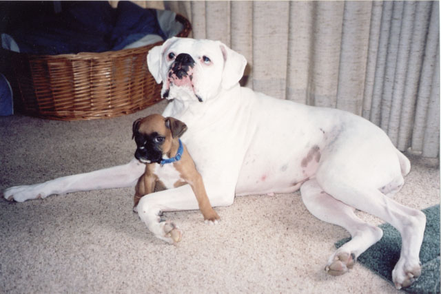Cousins