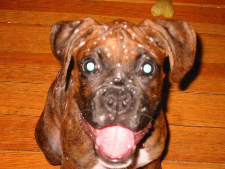 Covered in flour! Fun!