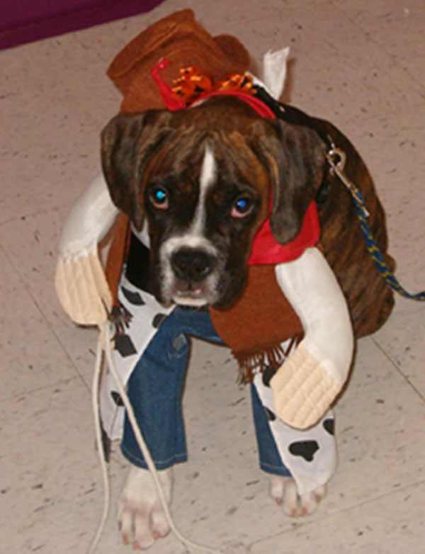 Cowboy Wilson