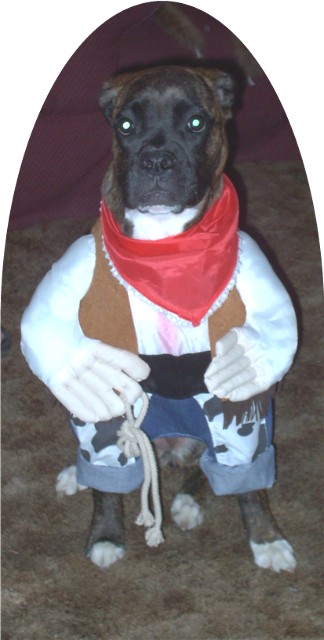 Cowgirl Coco