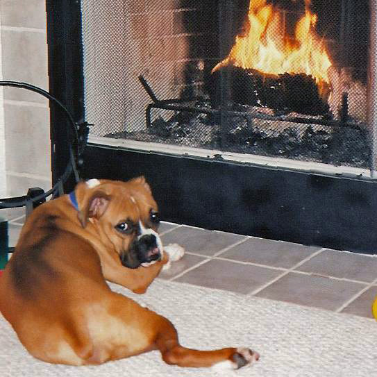 Cozy Fireplace