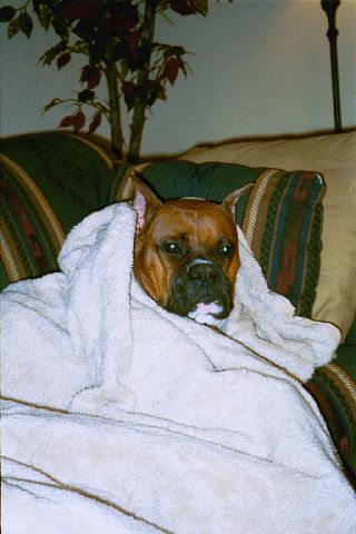 Cozy Pose
