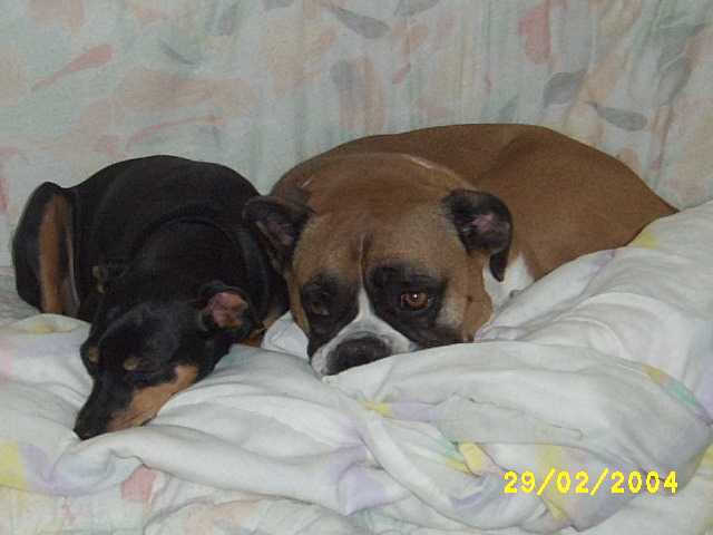 Cozy with my big brother - Riley