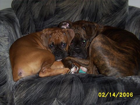 CozyBabes