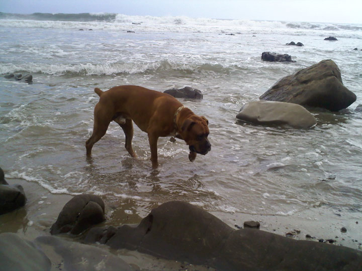 Crab Hunting!