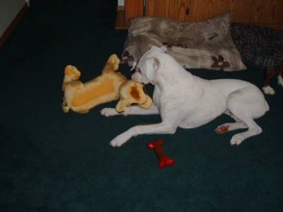 Cracker's favortie Present
