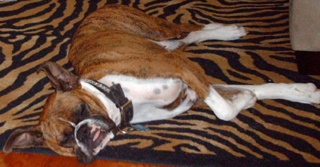 Crashed out