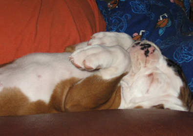 Crashed Out