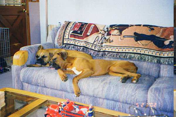 Crashed
