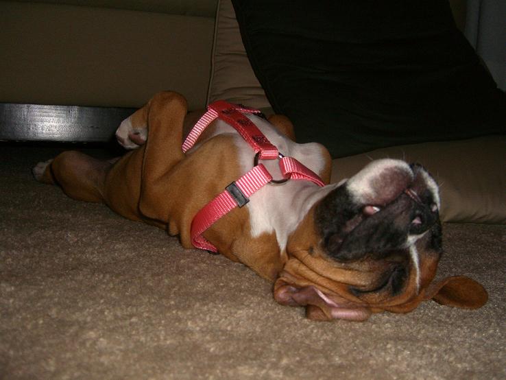 Crashed