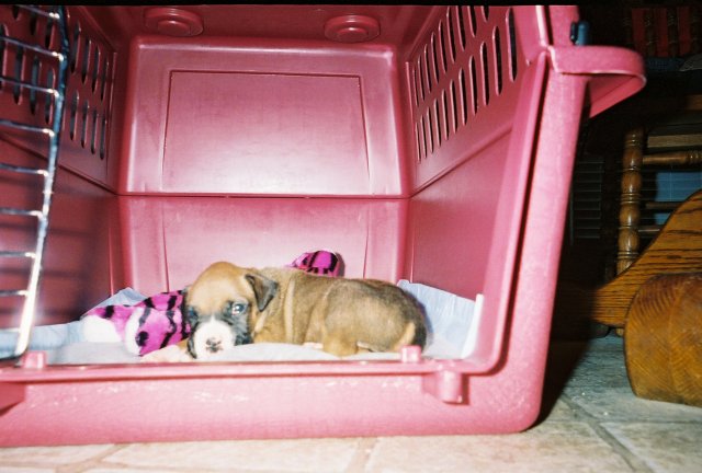 Crate Time