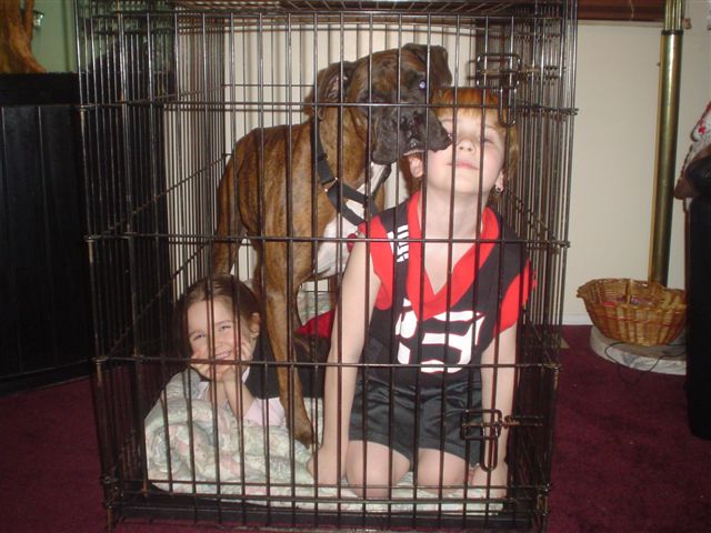 Crate Training