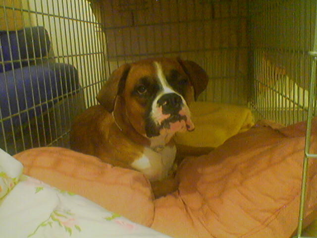 crate