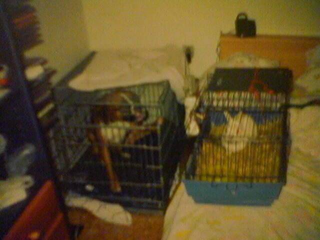 crates not to have accidents