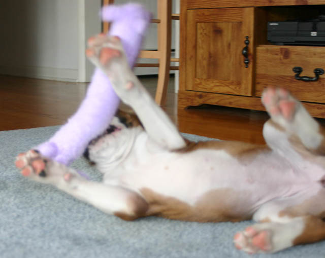 crazy girl!