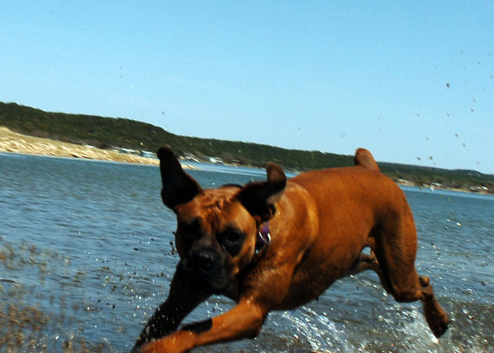 Crazy Water Fun