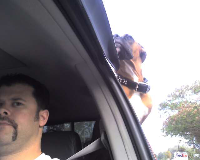 Crusing in the truck