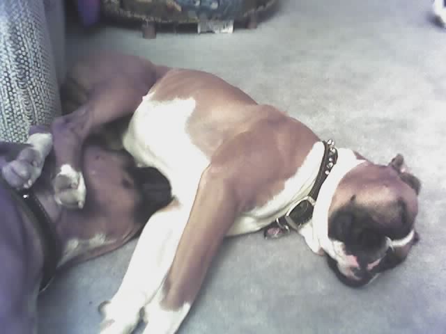 Cruz_and_Roxy
