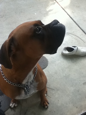 cuddi outside