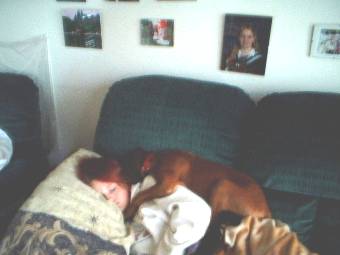 Cuddle Bug
