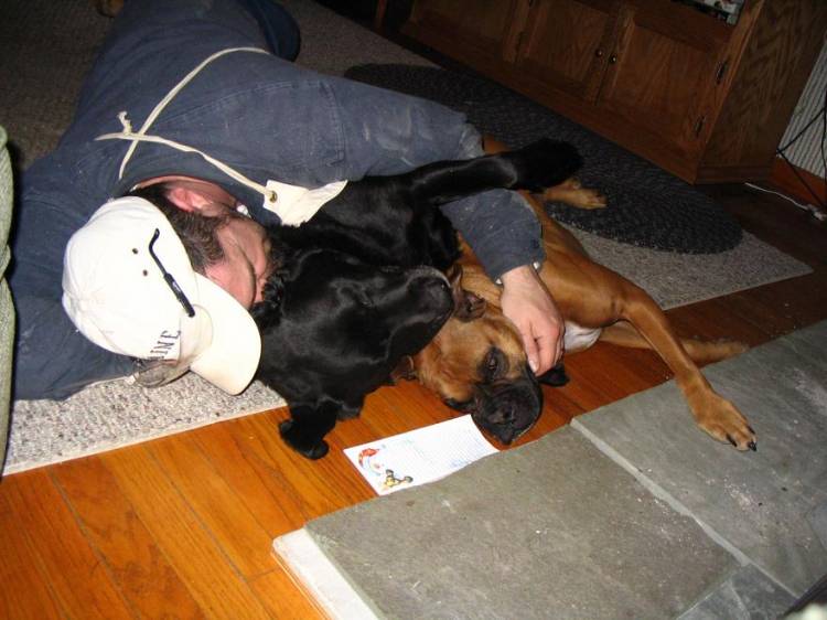 cuddle bugs