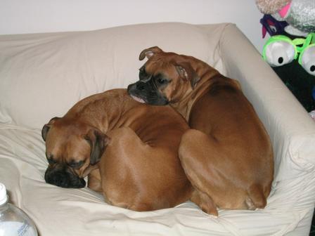 cuddle time