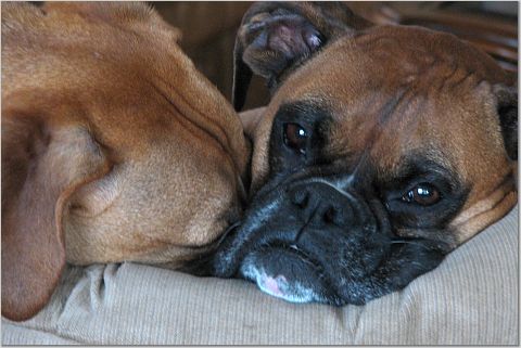 cuddle time
