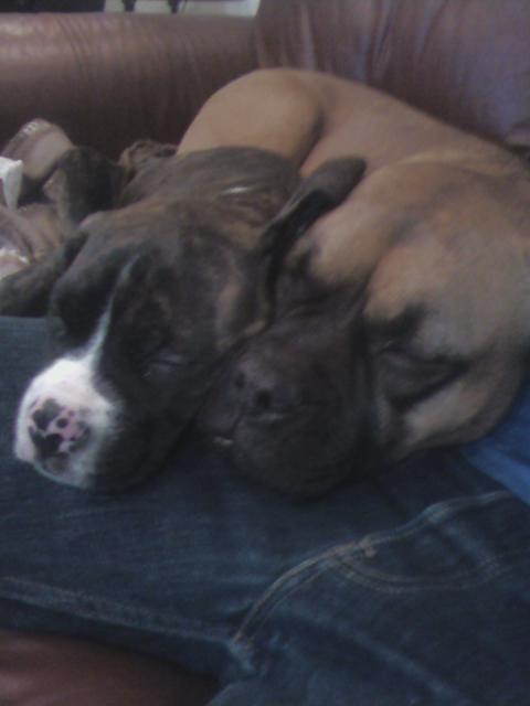 Cuddle time