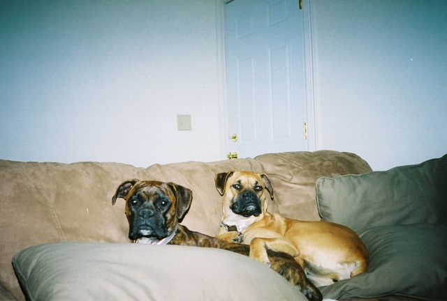 cuddle