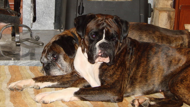 Cuddled in Together