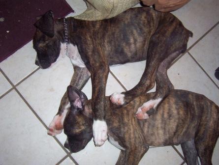 Cuddles and Toots!