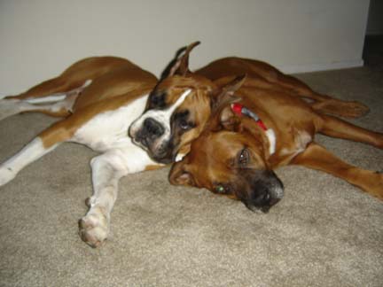 cuddletime