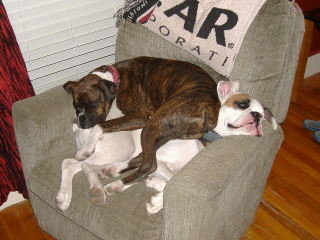 Cuddling after a hard day of play