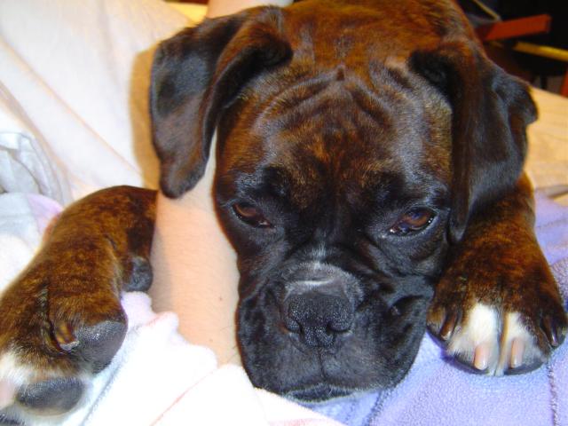 Cuddling my arm lol