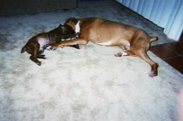 Cuddling sweet