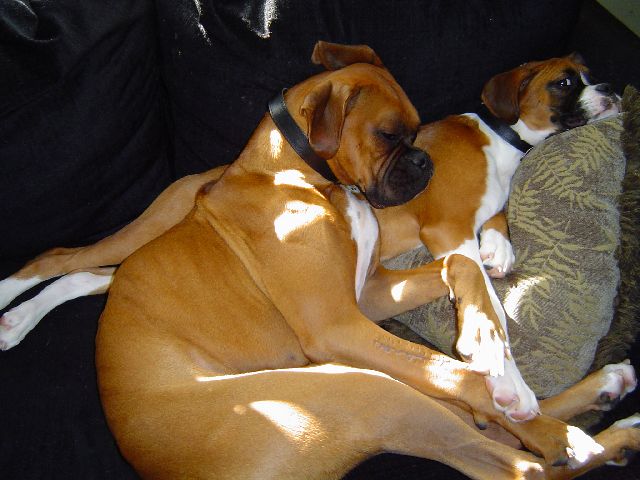 Cuddling