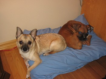 Cuddling