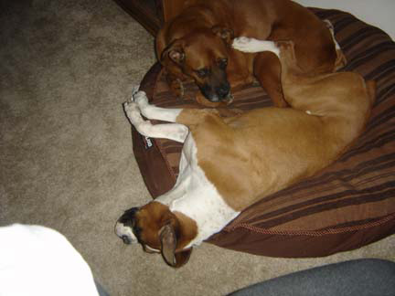 cuddling