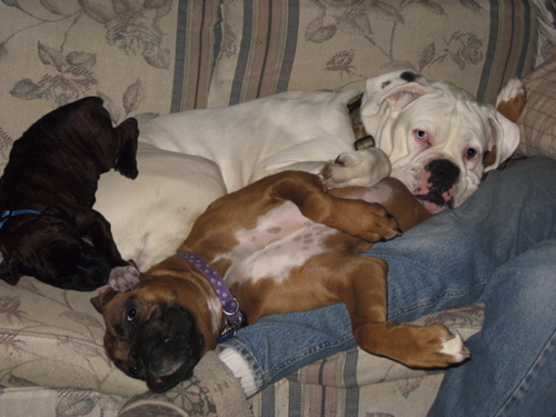 Cuddling