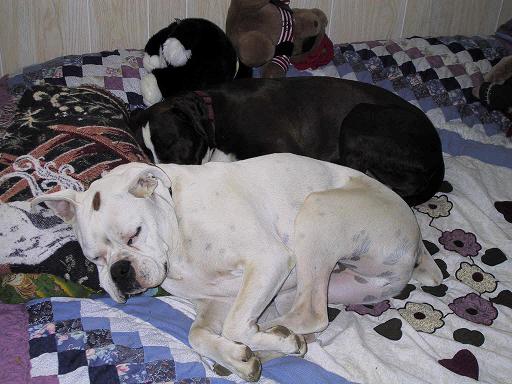 Curled Up Together