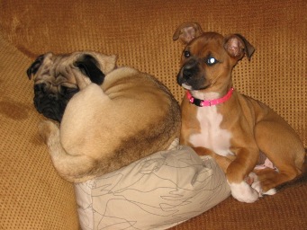 curling up